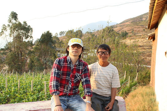 Met Gandi village