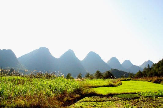 108craftsmen & HONGJIANG village