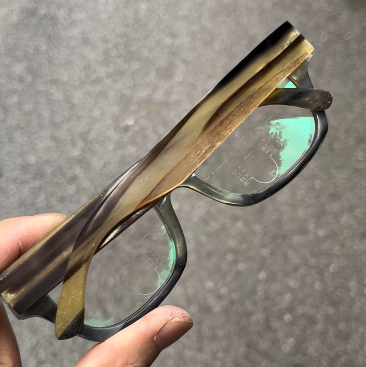 OX horn BEKIND (wholesale)